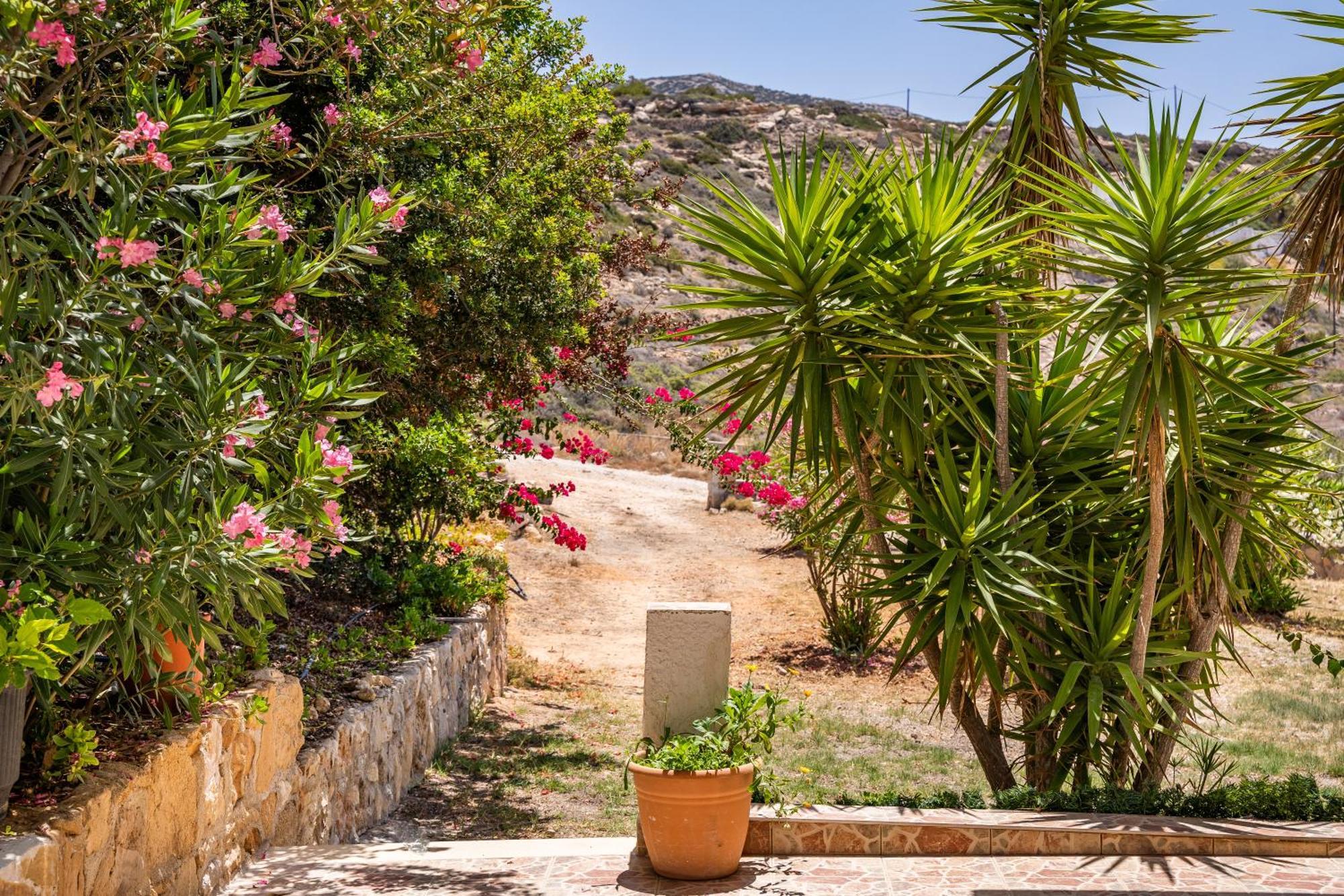 Sun Week Bay Hotel Lefkos  Buitenkant foto